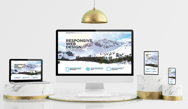 Gönen Web Sitesi Tasarımı